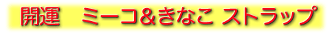 �J�^�~�[�R�����Ȃ��X�g���b�v