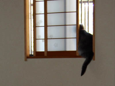 占い メール鑑定 ミーコ