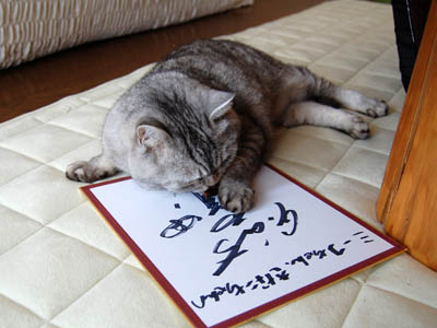 占い メール鑑定 ミーコ