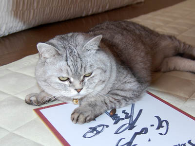 占い メール鑑定 ミーコ