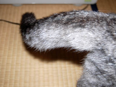 占い メール鑑定 ミーコ