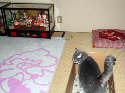 占い メール鑑定 ミーコ
