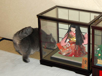 占い メール鑑定 ミーコ
