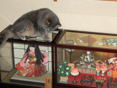 占い メール鑑定 ミーコ